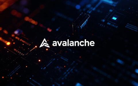 Avalanche domine les actions tokenisées avec 131M$ d’entrées