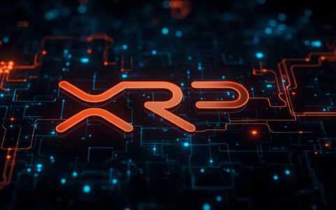 Bitwise XRP ETF Filing: What the Latest SEC Update Means