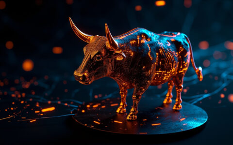 DAC8 crypto : la France refuse de suspendre la collecte de données