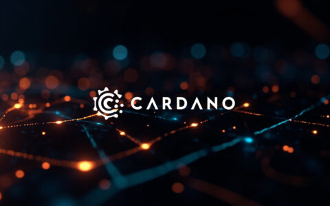 Cardano Foundation Pushes Back Against EU DeFi Rules