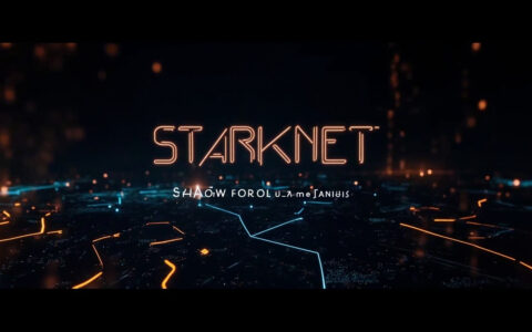 Starknet Shadow Accounts: DeFi Privacy Explained
